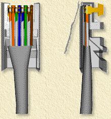 RJ45 connectors showing maximum insertion